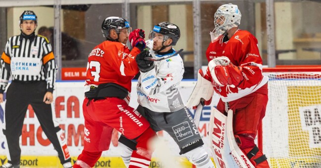 Zdroj: Michal Struž
