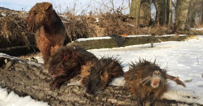 zdroj: město Olomouc