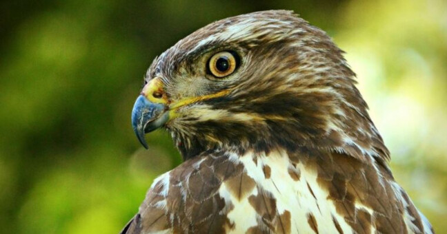 zdroj: Asociace soukromého zemědělství ČR