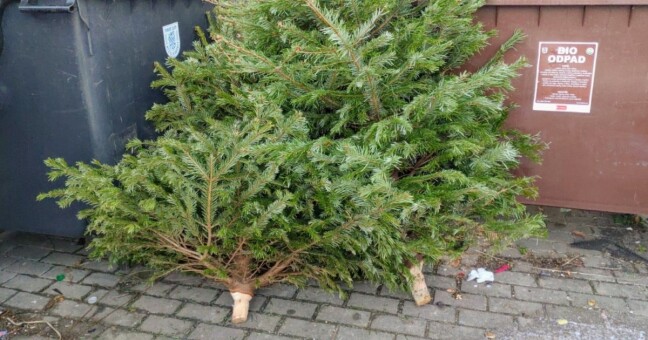 zdroj: město Olomouc