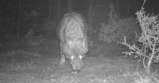 zdroj: Agentura ochrany přírody a krajiny ČR