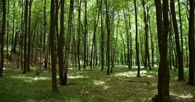 zdroj: Olomoucký kraj