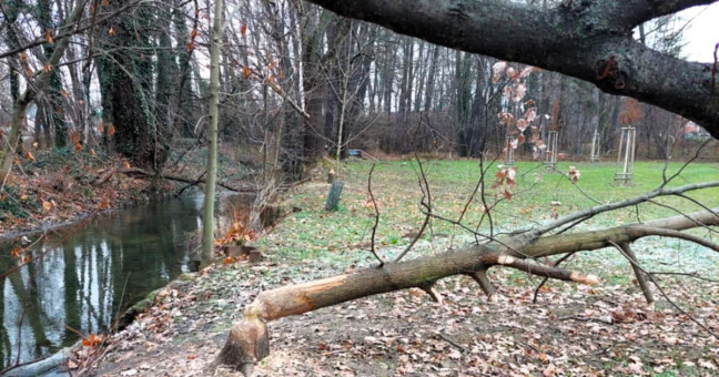 zdroj: město Přerov