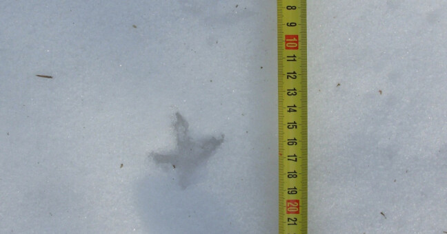 zdroj: CHKO Jeseníky