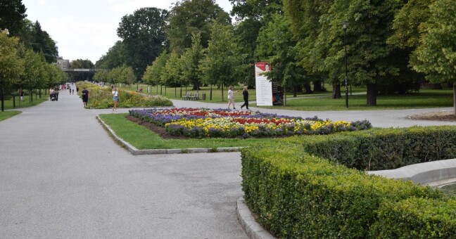 Zdroj: Olomoucký Report