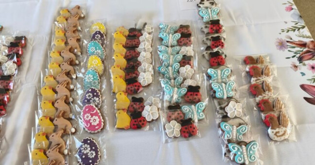 zdroj: Nemocnice AGEL Přerov