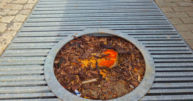 zdroj: hnutí spOLečně