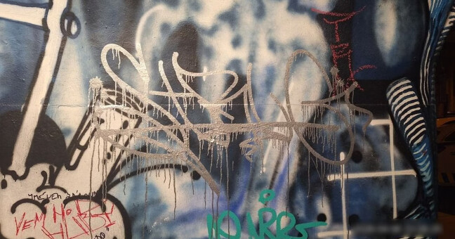 FOTO: Vandalové vylepšili průchod u muzea po svém. Narušili díla umělců