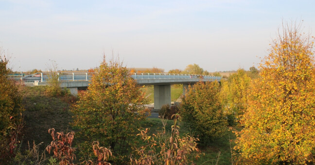 zdroj: Do přírody ve městě