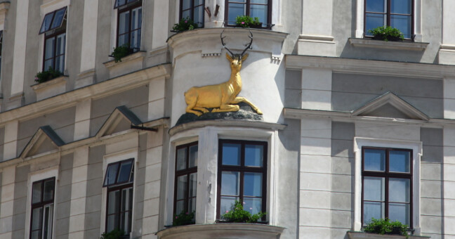 zdroj: město Olomouc