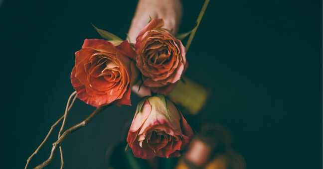 Ilustrační foto, zdroj: Pixabay.com