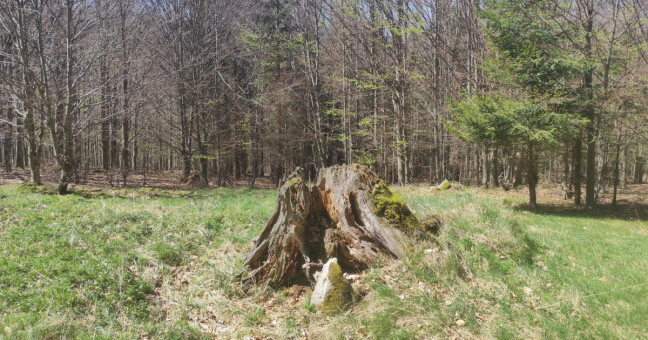 zdroj: CHKO Jeseníky