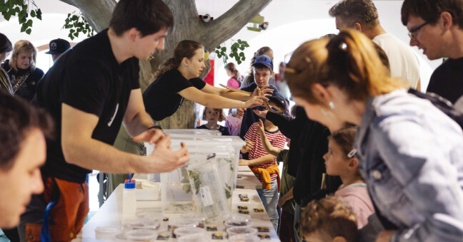 zdroj: Pevnost poznání