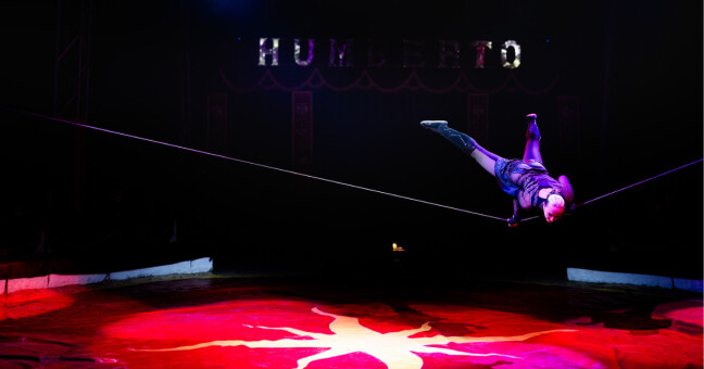 zdroj: Cirkus Humberto