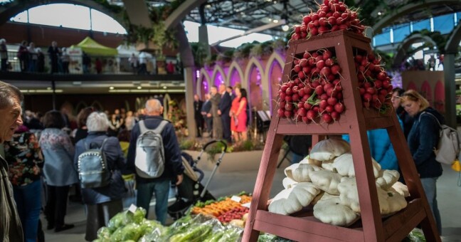 Zdroj: Flora Olomouc 