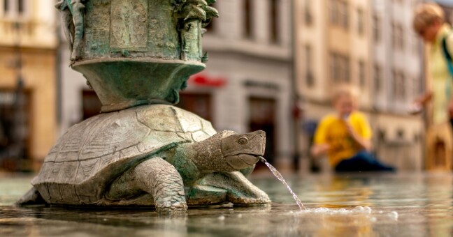 Zdroj: Olomoucký Report