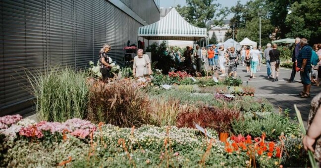 Ilustrační foto: Výstaviště Flora Olomouc