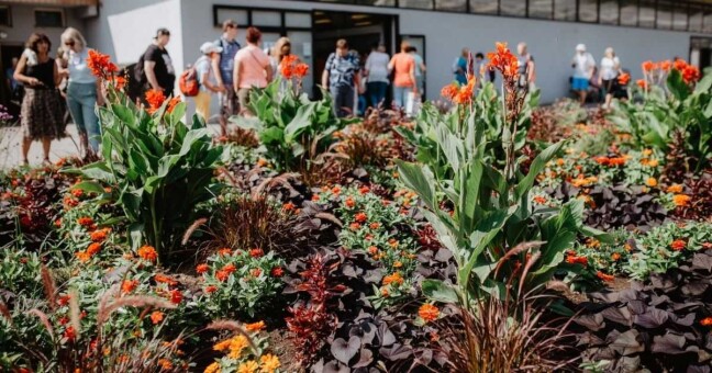 Ilustrační foto: Výstaviště Flora Olomouc