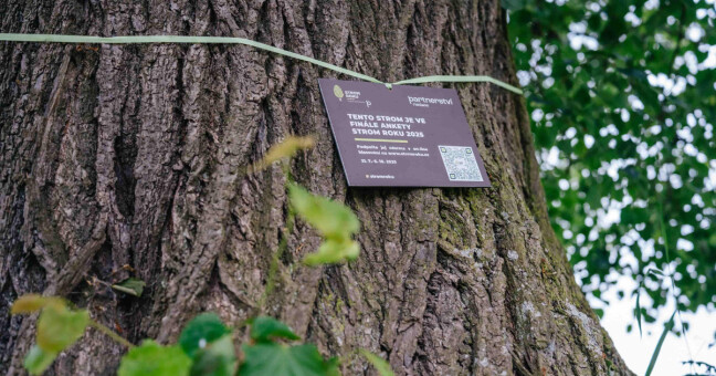 Strom roku/Tomáš Kalous