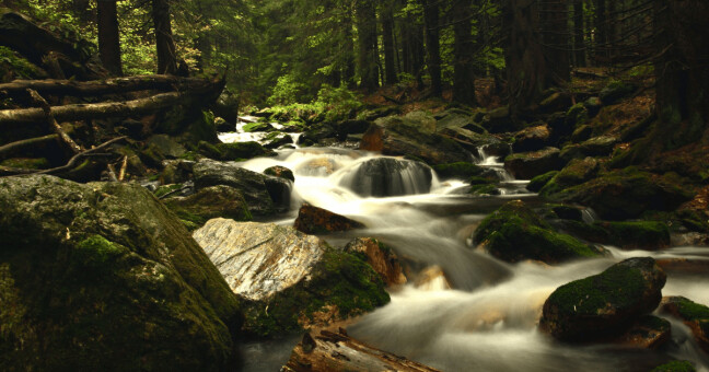 Ilustrační foto Pixabay.com