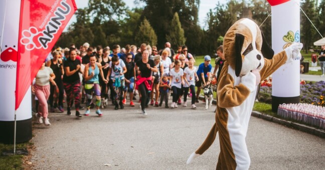 zdroj: Běh a pochod pro útulky