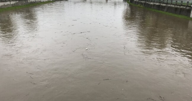 Řeka Bečva. Foto: Olomoucký kraj