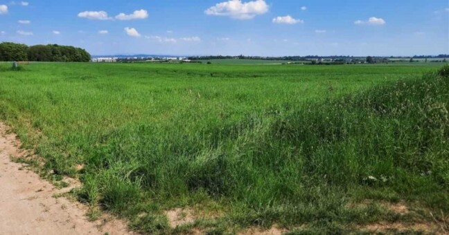 Foto: ŘSD