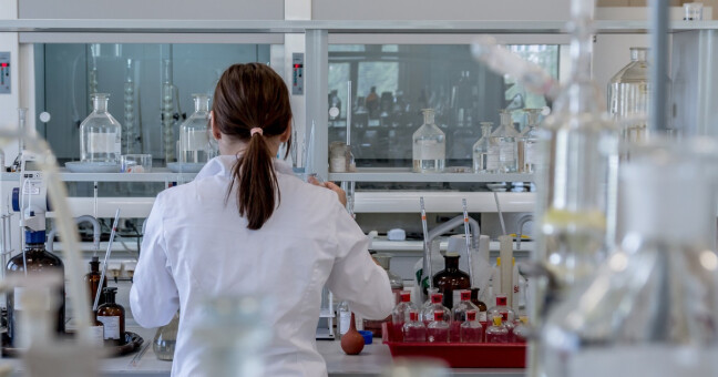 Foto ilustrační, zdroj: Pixabay