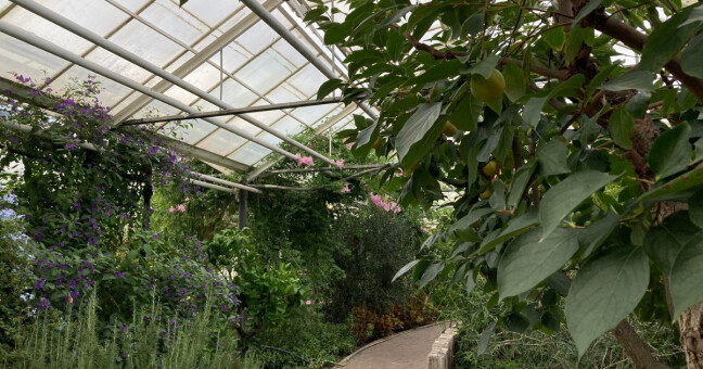 Jeden ze sbírkových skleníků, zdroj: Olomoucký Report