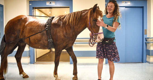 Zdroj: Fakultní nemocnice Olomouc