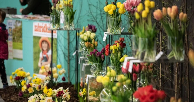 Zdroj: Výstaviště Flora Olomouc