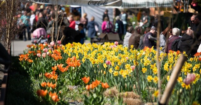 SOUTĚŽ: Flora začíná už za týden. Vyhrajte lístky
