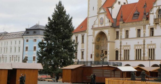 Loňský vánoční strom také pocházel z Hluboček | foto: město Olomouc