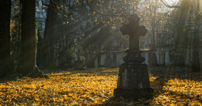 ilustrační foto, zdroj: pixabay.com