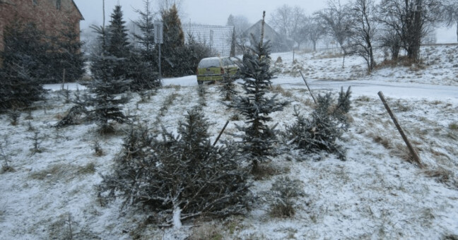 Foto: PČR