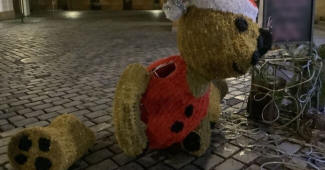 Zdroj: Městská policie Olomouc 