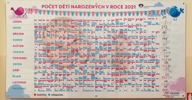 Zdroj: FNOL