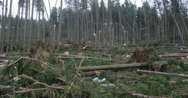 Zdroj: Plzeňský krja 