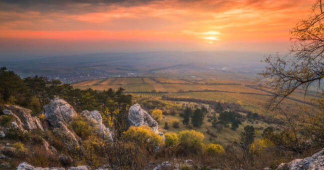 CHKO Pálava, zdroj: kudyznudy.cz