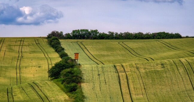 Ilustrační foto: Pixabay.com
