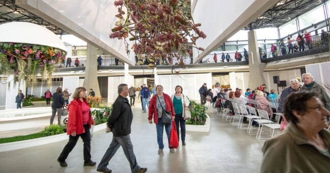 Zdroj: Flora Olomouc