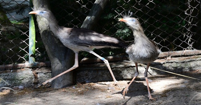 Foto: Zoo Olomouc
