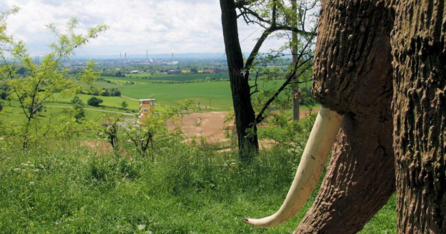 Pohled z Čekyňského kopce, zdroj: město Přerov