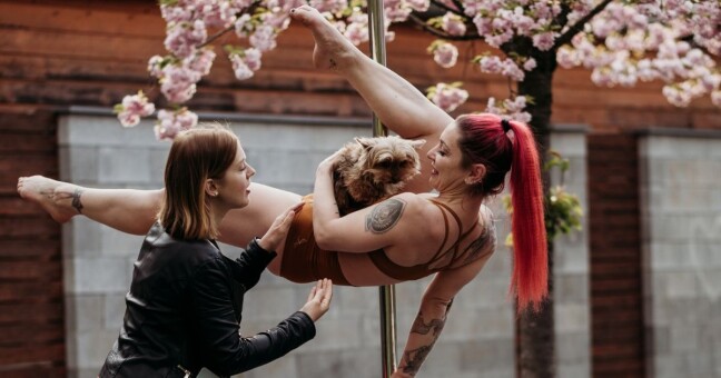 Zdroj: Pole Dogs
