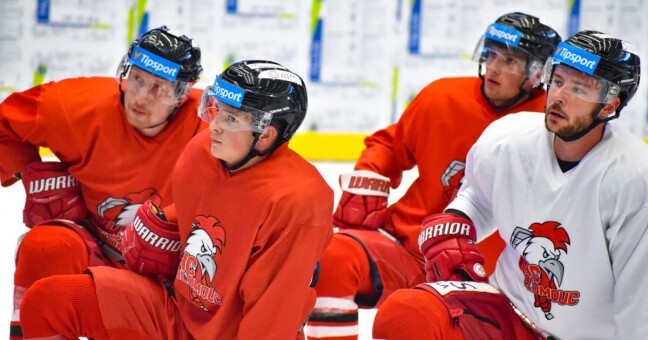 Zdroj: HC Olomouc