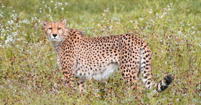zdroj: Zoo Olomouc