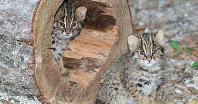zdroj: Zoo Olomouc