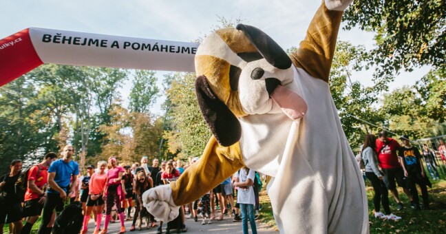 Zdroj: Běhejme a pomáhejme útulkům