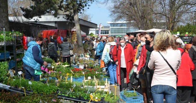 Foto: Výstaviště Flora Olomouc