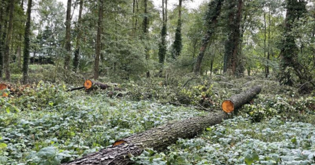 zdroj: město Šumperk